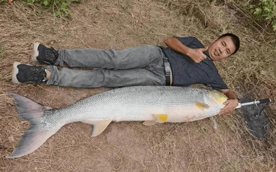 Con cá nặng 79kg được trả 3,7 triệu đồng, người đàn ông quyết không bán