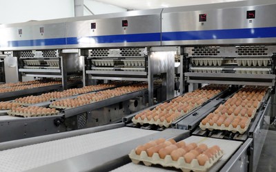 Nông nghiệp Hòa Phát dự kiến niêm yết trên sàn HoSE vào tháng 12/2025
