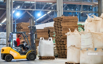 Doanh nghiệp nào được hỗ trợ đất đai, miễn thuế theo dự thảo mới?