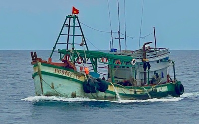 Ngư dân bị rắn biển cắn khi đang khai thác hải sản