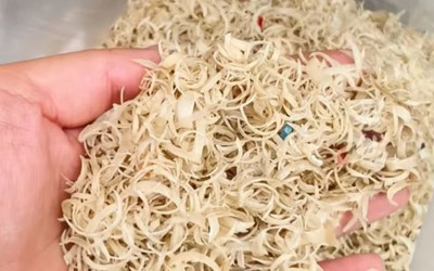 Thứ vô giá trị không ai thèm "ngó" không ngờ được thu mua với giá hơn 500.000 đồng/kg