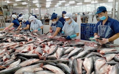 Nâng quy mô gói tín dụng nông, lâm, thủy sản lên 185.000 tỷ đồng