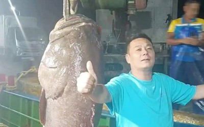 Người đàn ông bắt được "quái ngư" dài 1,8m, bán vội có ngay gần 130 triệu đồng