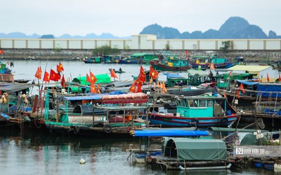 Thủ tướng yêu cầu các địa phương chủ động ứng phó bão số 10 ở mức cao nhất
