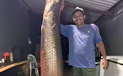 Ngư dân bắt được con cá hải tượng long khổng lồ nặng 130kg trên sông