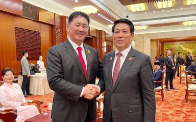 Chủ tịch nước Lương Cường gặp gỡ lãnh đạo nhiều nước tại Trung Quốc