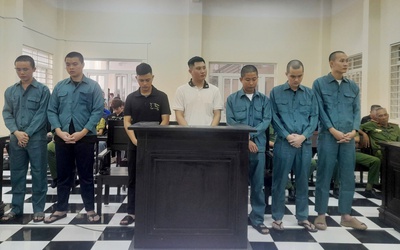 Một cuộc vui, nhiều bản án