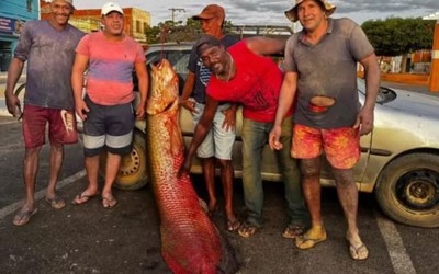 Ngư dân bắt được con cá khổng lồ dài 2,15 mét, nặng 92kg trên sông