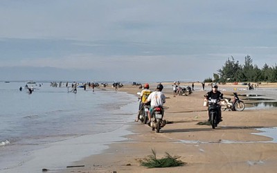 Ruốc về bờ dày đặc, hàng trăm người dân ra bãi biển vớt thu tiền triệu