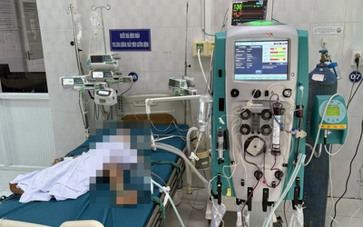 3 bé trai mồ côi bị ong vò vẽ đốt, một bé tử vong