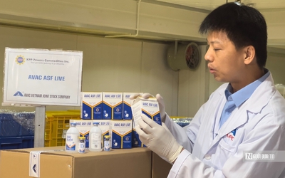 Vắc-xin dịch tả lợn châu Phi của Việt Nam tiếp tục chinh phục thị trường Philippines