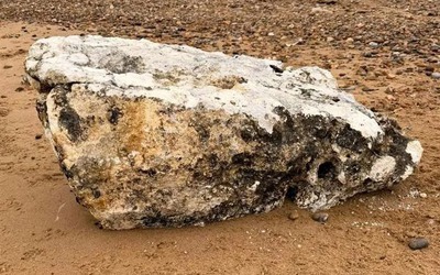 Phát hiện vật thể "bí ẩn" trên bãi biển, chó tử vong nếu ăn phải