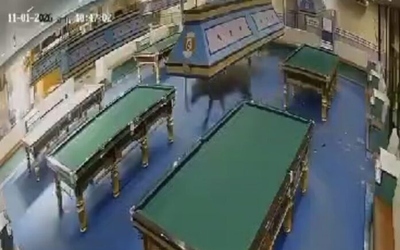 Trâu trốn khỏi lò mổ, lao vào cửa hàng bi-a khiến người chơi bỏ chạy