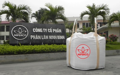 Công ty liên quan đến ông Nguyễn Ngọc Thạch tăng sở hữu tại Phân lân Ninh Bình