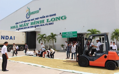 Antesco - Tân binh HoSE chốt ngày chào sàn