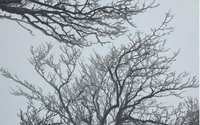 Miền Bắc đón đợt gió mùa Đông Bắc cường độ mạnh khiến "rét chồng rét"