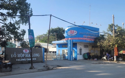 Vụ Công ty CP đồ hộp Hạ Long: Bắt nữ nhân viên kiểm dịch