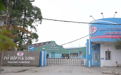 Bị ngừng việc, người lao động Công ty đồ hộp Hạ Long được hỗ trợ thế nào?