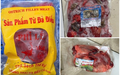 Đột kích loạt kho xưởng phù phép 50 tấn thịt heo thành thịt đà đà điểu, dê, nhím