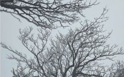 Miền Bắc rét đậm khi đón đợt không khí lạnh cường độ mạnh trên diện rộng