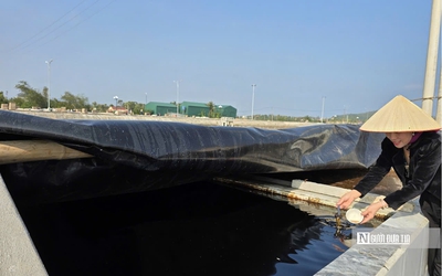 Làng biển nổi tiếng xứ Thanh nhộn nhịp ngày cận Tết