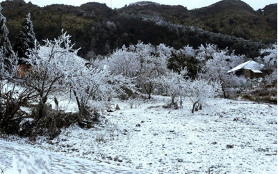 Dự báo thời tiết 20/1: Miền Bắc đón đợt không khí lạnh cực mạnh, dự báo nơi nào rét nhất?