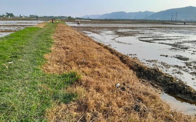 Khi vùng an toàn thực phẩm… không còn an toàn