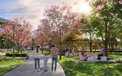 Quy hoạch đồng bộ kiến tạo chất sống “đô thị mới”