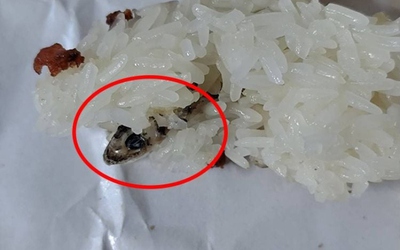 Đang ăn xôi, người đàn ông "tái mặt" khi phát hiện ra thứ đáng sợ