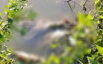 Phát hiện thi thể nữ giới dưới vuông nước, nghi bị sát hại