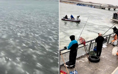 Cá đóng băng trên mặt nước, người dân thi nhau ra bắt