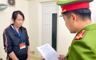 Khởi tố nữ giám đốc mua thực phẩm trôi nổi, làm hóa đơn giả để trốn thuế