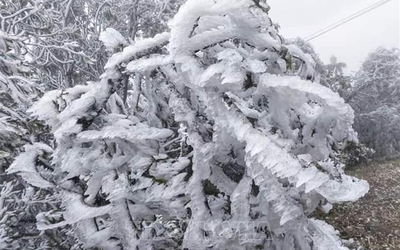 Dự báo thời tiết 22/1: Miền Bắc đón đợt không khí lạnh rất mạnh, dự báo nơi rét đậm nhất