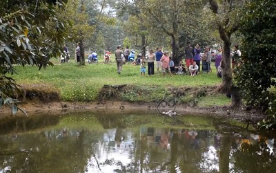 2 chú chó quyết không rời khỏi bờ ao, gia đình lại xem thì sốc nặng