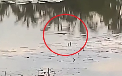 Đang cắt cỏ bên hồ nước, người phụ nữ bị thứ đáng sợ tấn công