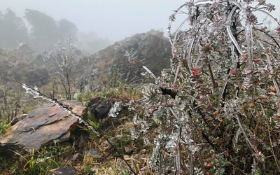 Dự báo thời tiết 26/1: Miền Bắc duy trì rét đậm, cuối tháng 1 thêm đợt không khí lạnh dồn dập tràn về