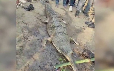 Thả lưới trên sông, ngư dân hoảng sợ khi bắt được thứ đáng sợ