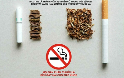 Làm rõ về độc tính của nicotine để phòng chống đúng tác hại của thuốc lá