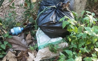Thấy túi bóng đen vứt bên đường, người dân sốc khi thấy thứ bên trong