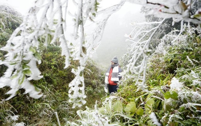 Dự báo thời tiết 28/1: Miền Bắc đón không khí lạnh dồn dập, trời rét đậm kèm sương mù bao phủ