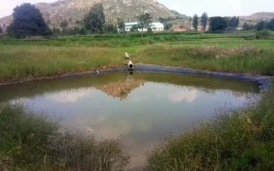 Chơi đùa trên cánh đồng, 3 đứa trẻ tử vong thương tâm