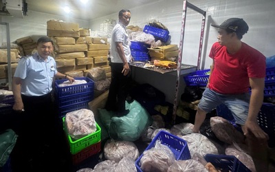 TP.HCM, phát hiện hơn 700kg thịt cá biển, thịt heo, thịt vịt không rõ nguồn gốc chuẩn bị tiêu thụ
