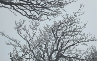 Dự báo thời tiết 29/1: Không khí lạnh tăng cường tràn về, miền Bắc sắp bước vào đợt rét diện rộng