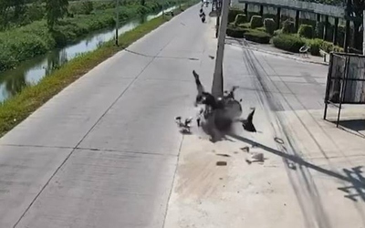 Tông vào cột điện, người đàn ông đi xe phân khối lớn tử vong