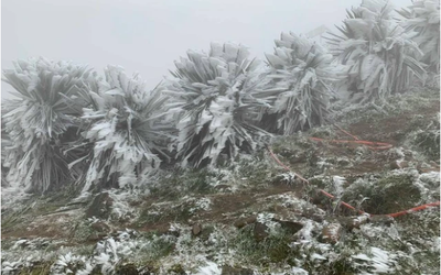 Miền Bắc liên tiếp đón không khí lạnh cực mạnh, trời rét đậm