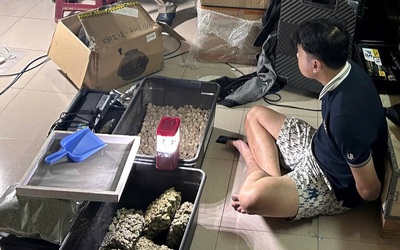 Phát hiện đường dây tiêu thụ cần sa trồng trong nhà, có yếu tố người nước ngoài