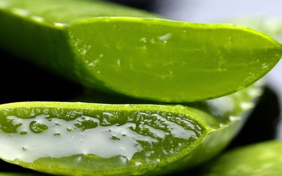 Loại cây ví như "thần dược" cho sức khỏe, hóa ra người Việt lại chỉ trồng làm cảnh