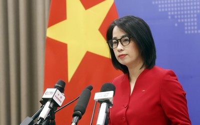 Việt Nam hoan nghênh mọi nỗ lực đem lại hòa bình bền vững cho Dải Gaza