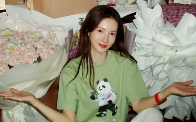 Nữ diễn viên nổi tiếng bị tố gây tai nạn giao thông rồi bỏ trốn