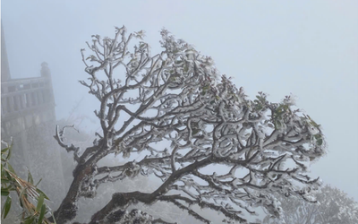 Miền Bắc đón đợt không khí lạnh cực mạnh, trời rét đậm